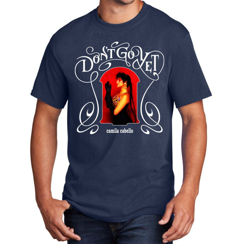 Singer-songwriter Basic T-shirt | Artistshot