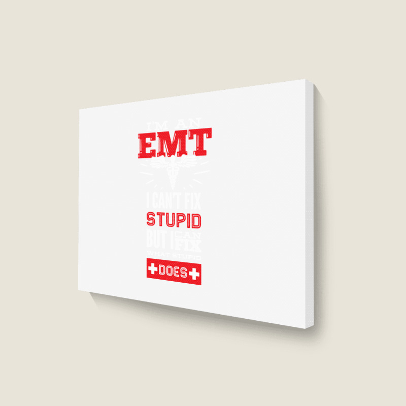 I Am An Emt I Cant Fix Stupid But I Can Fix What Stupid Does Pullover Landscape Canvas Print | Artistshot