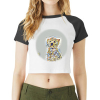 Beautiful Fun Young Boston Teing Jump And Run Raglan Crop Top | Artistshot