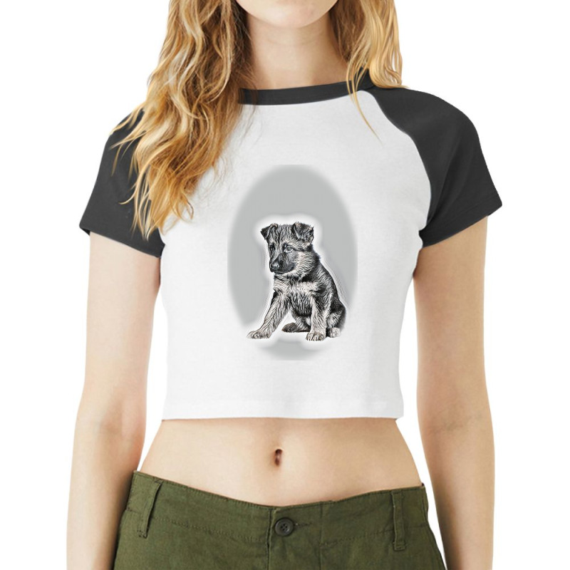 Red Dog Dachshund And Gray-bred Background Raglan Crop Top by Kemnabi | Artistshot