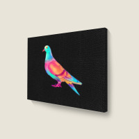 Colorful Pigeon Birding Pigeons Racing Birds Breed Landscape Canvas Print | Artistshot