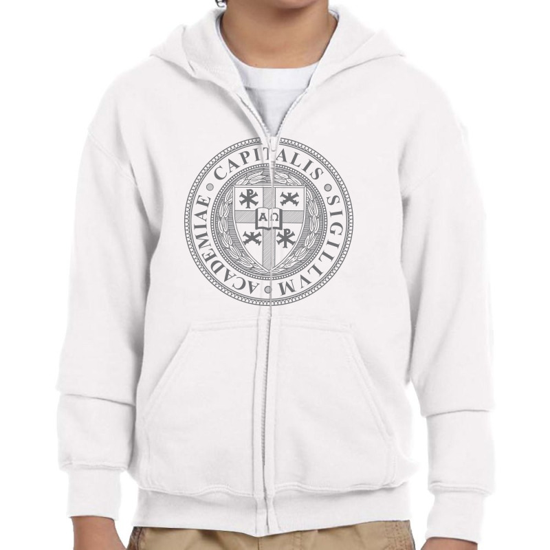 Capital, University Youth Zipper Hoodie by lansar | Artistshot