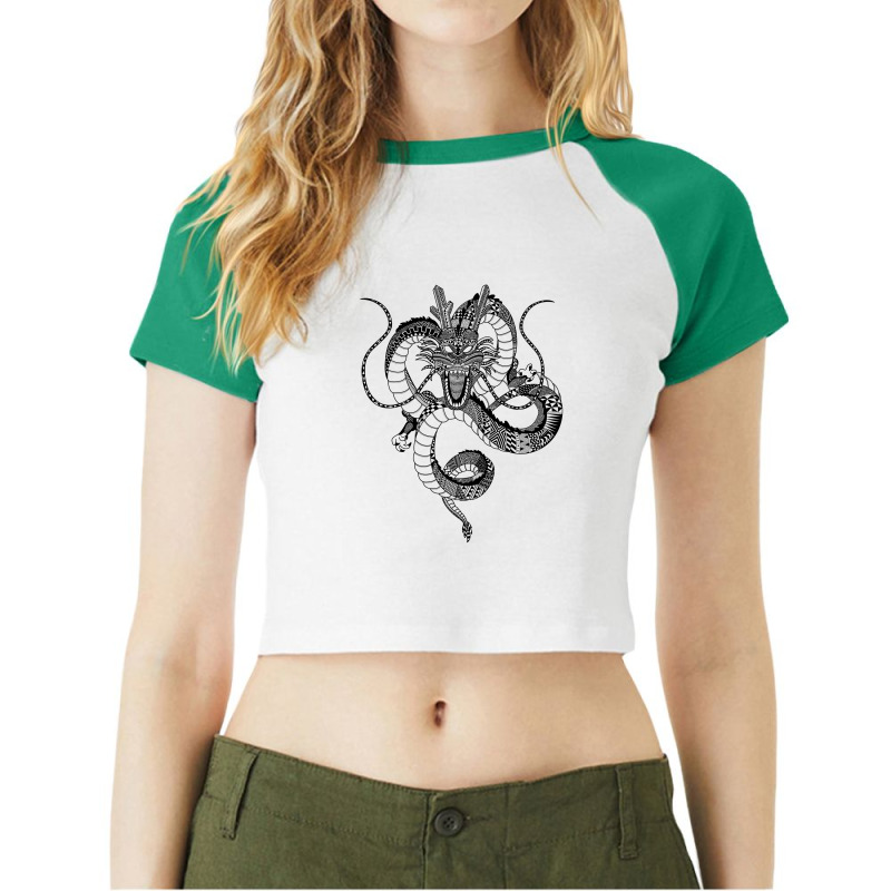 Aztec Shenron Png Raglan Crop Top by NemiMakeit | Artistshot