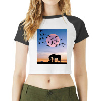 Horse And Woman Raglan Crop Top | Artistshot