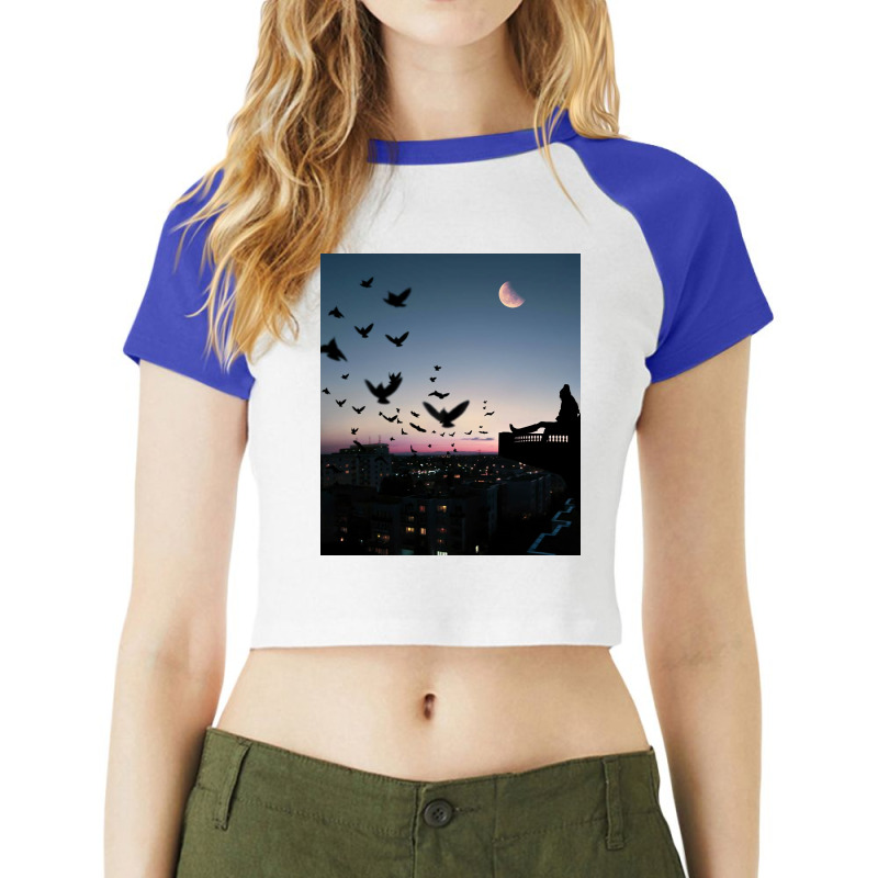 Balcony View Raglan Crop Top | Artistshot