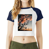 Bird's Nest Raglan Crop Top | Artistshot