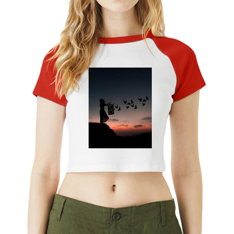 Free Birds Raglan Crop Top | Artistshot