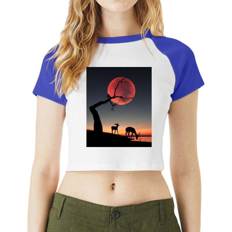 Fullmoon Raglan Crop Top | Artistshot