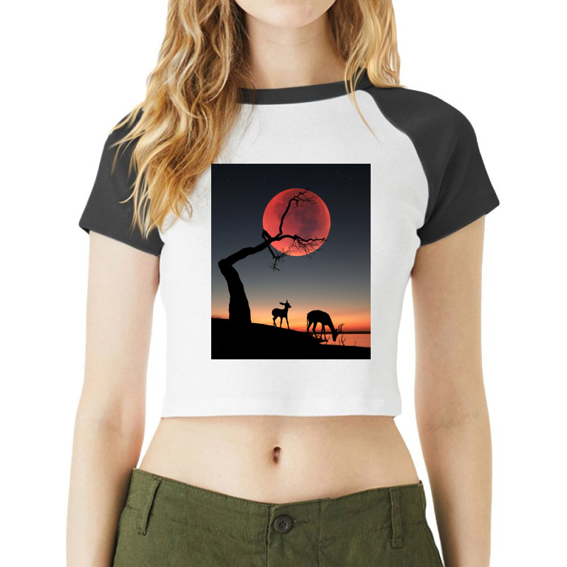 Fullmoon Raglan Crop Top | Artistshot