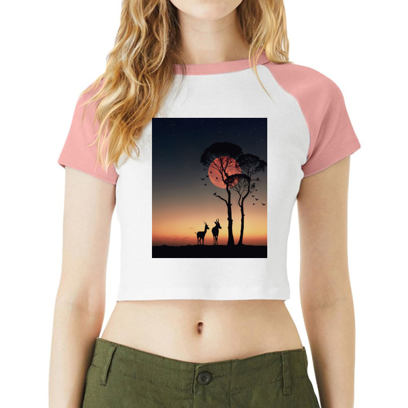 Gazalle Raglan Crop Top | Artistshot