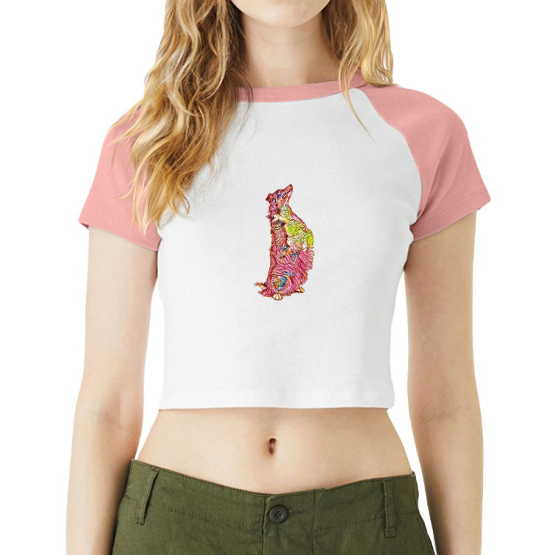 Shepherd Mix Dog On Hind Legs Raglan Crop Top by Kemnabi | Artistshot