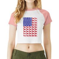 Jack Russell Terrier American Flag Raglan Crop Top | Artistshot