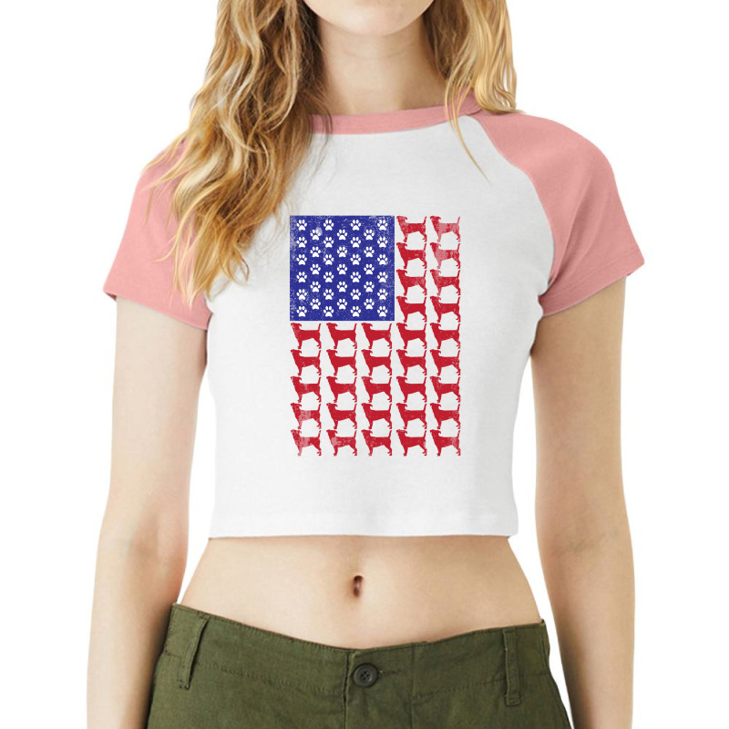 Jack Russell Terrier American Flag Raglan Crop Top by hoainv | Artistshot