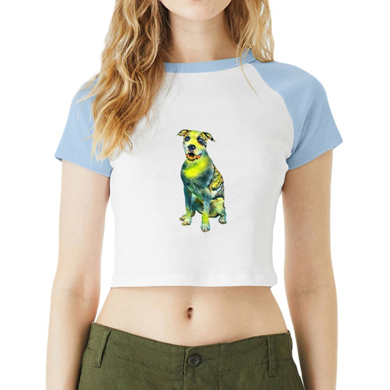 Smiling American Staffordshir Raglan Crop Top by Kemnabi | Artistshot