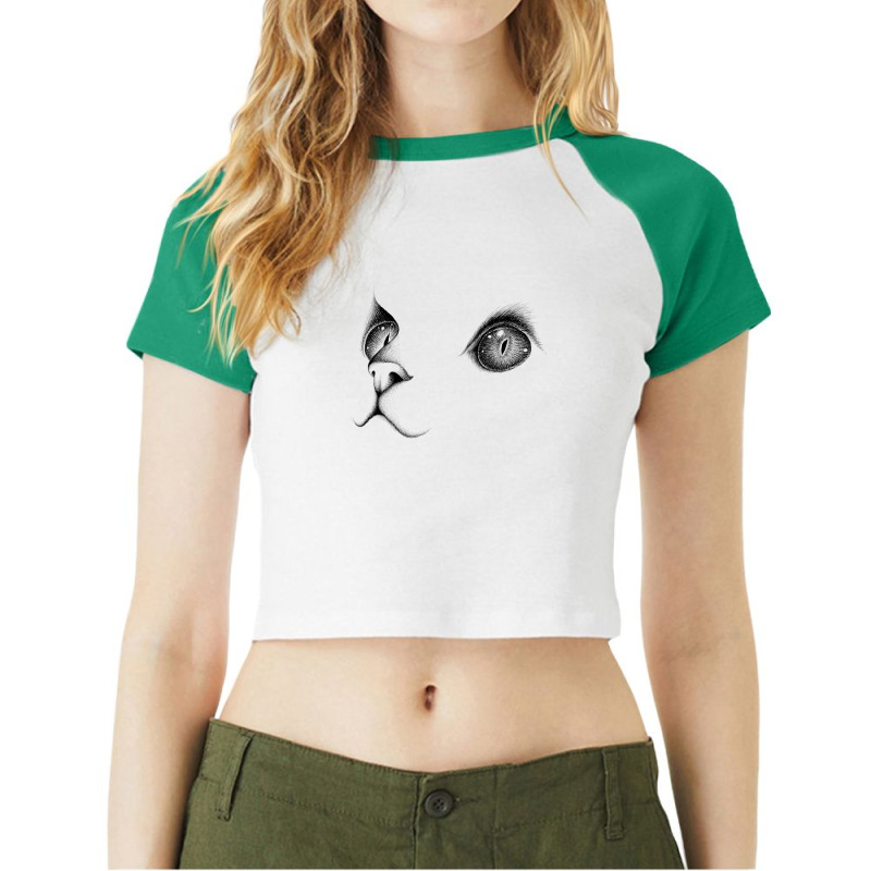 Cats Raglan Crop Top by Disgus_Thing | Artistshot