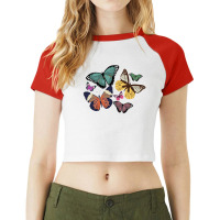 Butterfly Raglan Crop Top | Artistshot