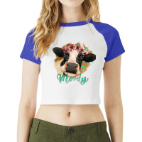 Moody Heifer Raglan Crop Top | Artistshot