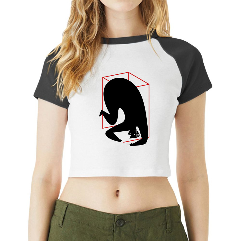 Abstrak Art Raglan Crop Top | Artistshot