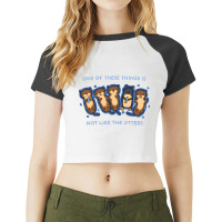 Not Like The Otters Classic Raglan Crop Top | Artistshot