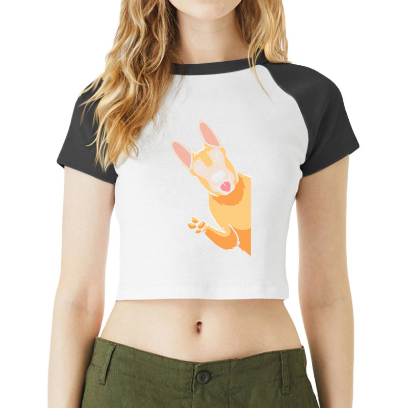 Malinois T  Shirt Malinois Dog B Elgian Shepherd Dog Raglan Crop Top by christiansenmarlene | Artistshot