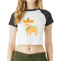 Cinco De Mayo T  Shirt Sombrero Yorkshire Terrier Dog Tacos Cinco De M Raglan Crop Top | Artistshot