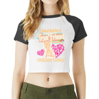 Yorkshire Terrier Owner Gift Yorkshire T  Shirt E N T  Shirt Raglan Crop Top | Artistshot