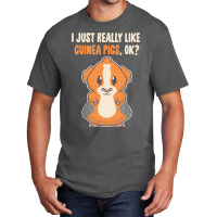 I Just Really Like T  Shirt I Just Really Like Guinea Pigs O K Basic T-shirt | Artistshot