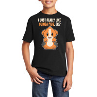 I Just Really Like T  Shirt I Just Really Like Guinea Pigs O K Basic Youth T-shirt | Artistshot