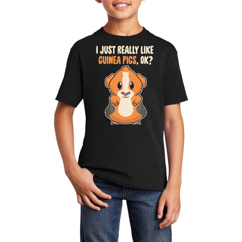 I Just Really Like T  Shirt I Just Really Like Guinea Pigs O K Basic Youth T-shirt | Artistshot