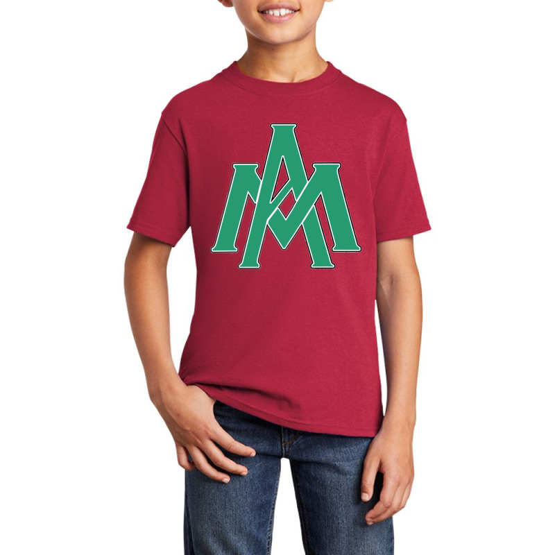 Arkansas–monticel Basic Youth T-shirt by Rewisar | Artistshot