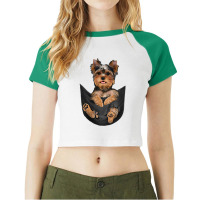 Dog Lovers Gifts Yorkshire Terrier In Pocket Funny Dog Face Premium T Raglan Crop Top | Artistshot