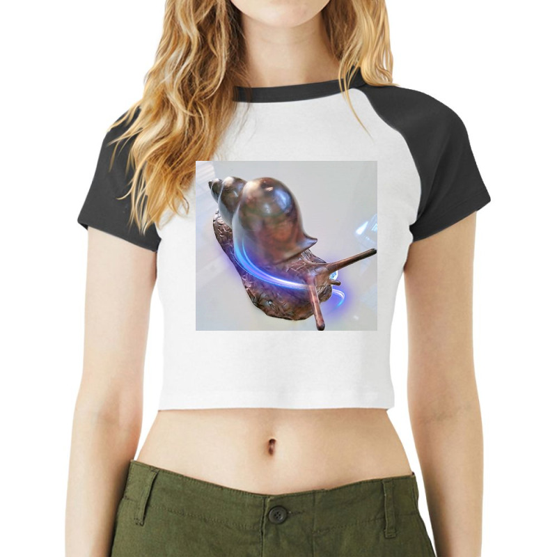 Snail Adventure Climbing Hiking Outdoor Camping Nature Lover T Shirt Raglan Crop Top by argo | Artistshot