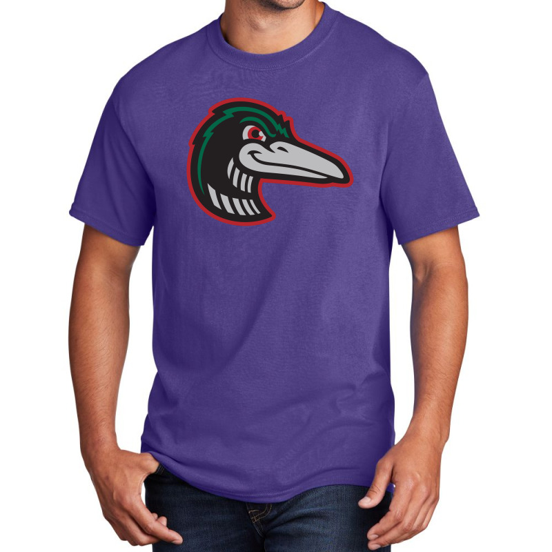 Great Lakes Loons Basic T-shirt | Artistshot