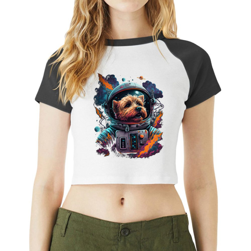 Astronaut Norfolk Terrier Dog Space Galaxy Raglan Crop Top by JESSELEON | Artistshot