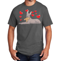 Xoloitzquintle T  Shirt Xoloitzcuintle Dog With Stuffed Animal And Hea Basic T-shirt | Artistshot