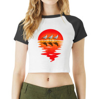 Flocks Of Seagull Vintage Sunset Seabird Harbour Albatros Raglan Crop Top | Artistshot