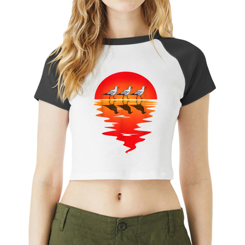 Flocks Of Seagull Vintage Sunset Seabird Harbour Albatros Raglan Crop Top by kurniawanm | Artistshot