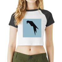 Parrot Os Raglan Crop Top | Artistshot