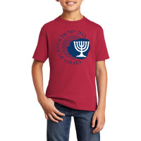 Bank Of Israel Seal Basic Youth T-shirt | Artistshot