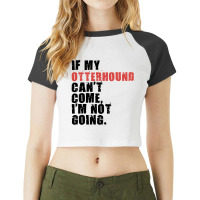 If My Otterhound Cant Come Im Not Going Adc081f Raglan Crop Top | Artistshot