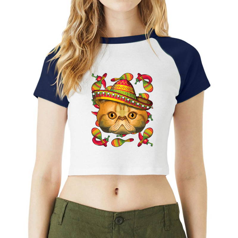 Cinco De Mayo Exotic Shorthair Sombrero Mexican Cat Fiesta T Shirt Raglan Crop Top by Binhthai9809 | Artistshot