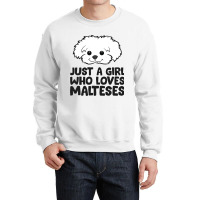 Maltese Puppy Just A Girl Who Loves Malteses Crewneck Sweatshirt | Artistshot