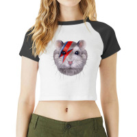 Womens Grey Dwarf Hamster With Red Lightning Bolt Painted On Face Raglan Crop Top | Artistshot