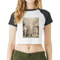 Retro Vintage European Funny Gifts Men Raglan Crop Top | Artistshot