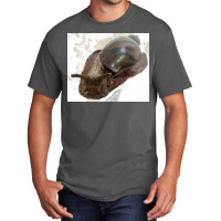 Snail Basic T-shirt | Artistshot