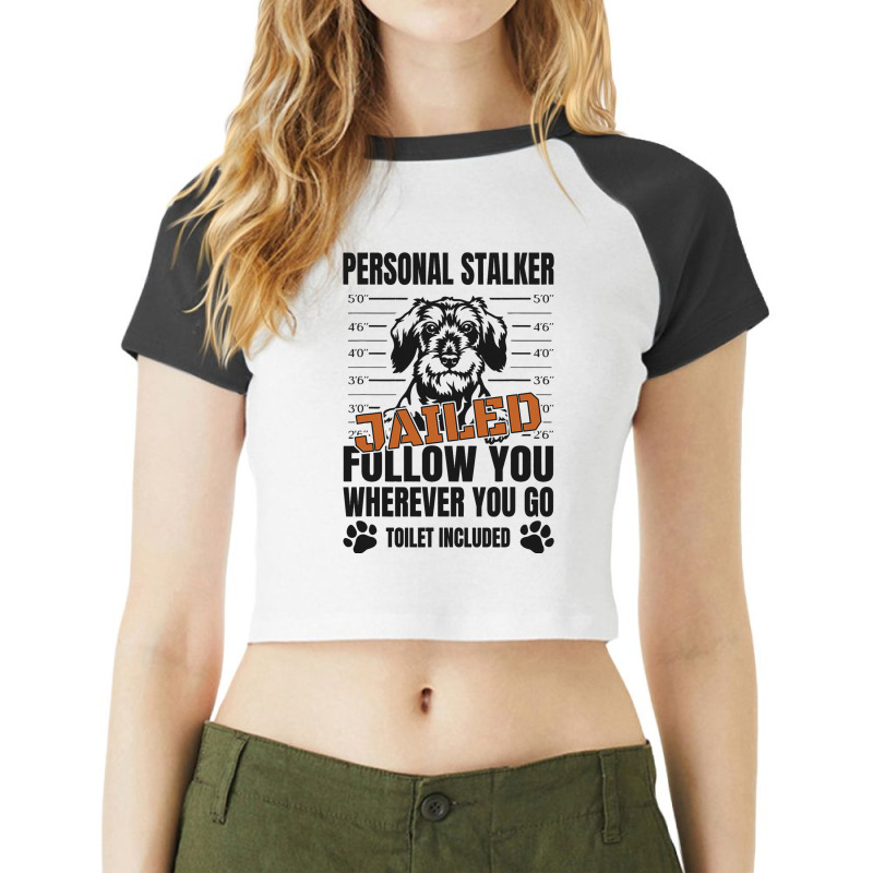 Jailed Personal Stalker Dog Miniature Schnauzer Raglan Crop Top by NariahPringl | Artistshot