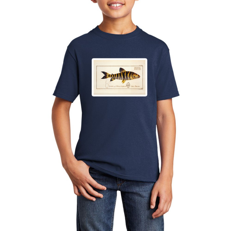 Antique Crustacean Print Squilla Empusa The Mantis Shrimp 57479365 Basic Youth T-shirt | Artistshot