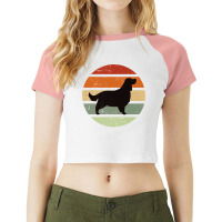 English Springer Spaniel Dog Retro Premium Raglan Crop Top | Artistshot