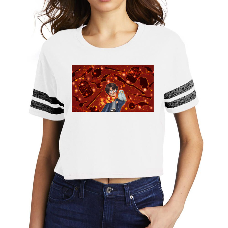 Wizard Boy And Owl Scorecard Crop Tee by TumblerDesignByShophia | Artistshot