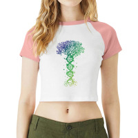 Dna Tree T  Shirt D N A Tree Of Life Genetics Colorful Biology Science Raglan Crop Top | Artistshot